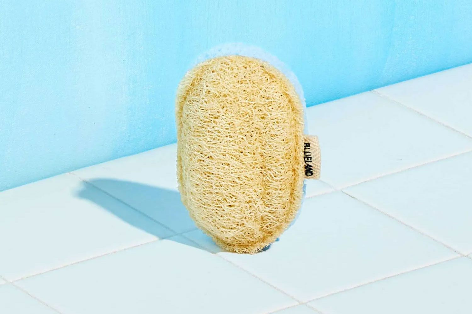 Blueland Scrub Sponge