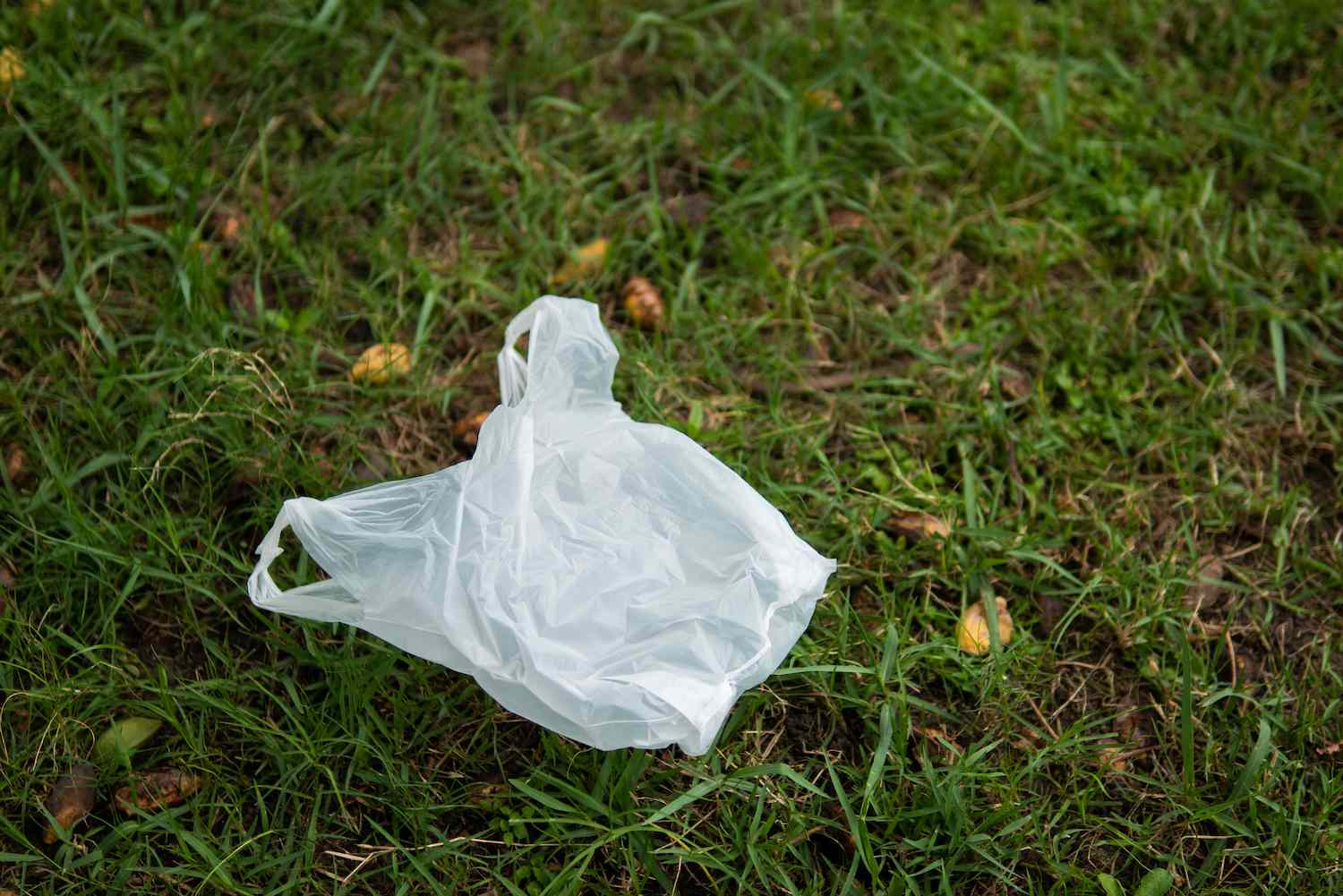 Must Cities Throw Away Plastic Bag Bans? It’s Troublesome