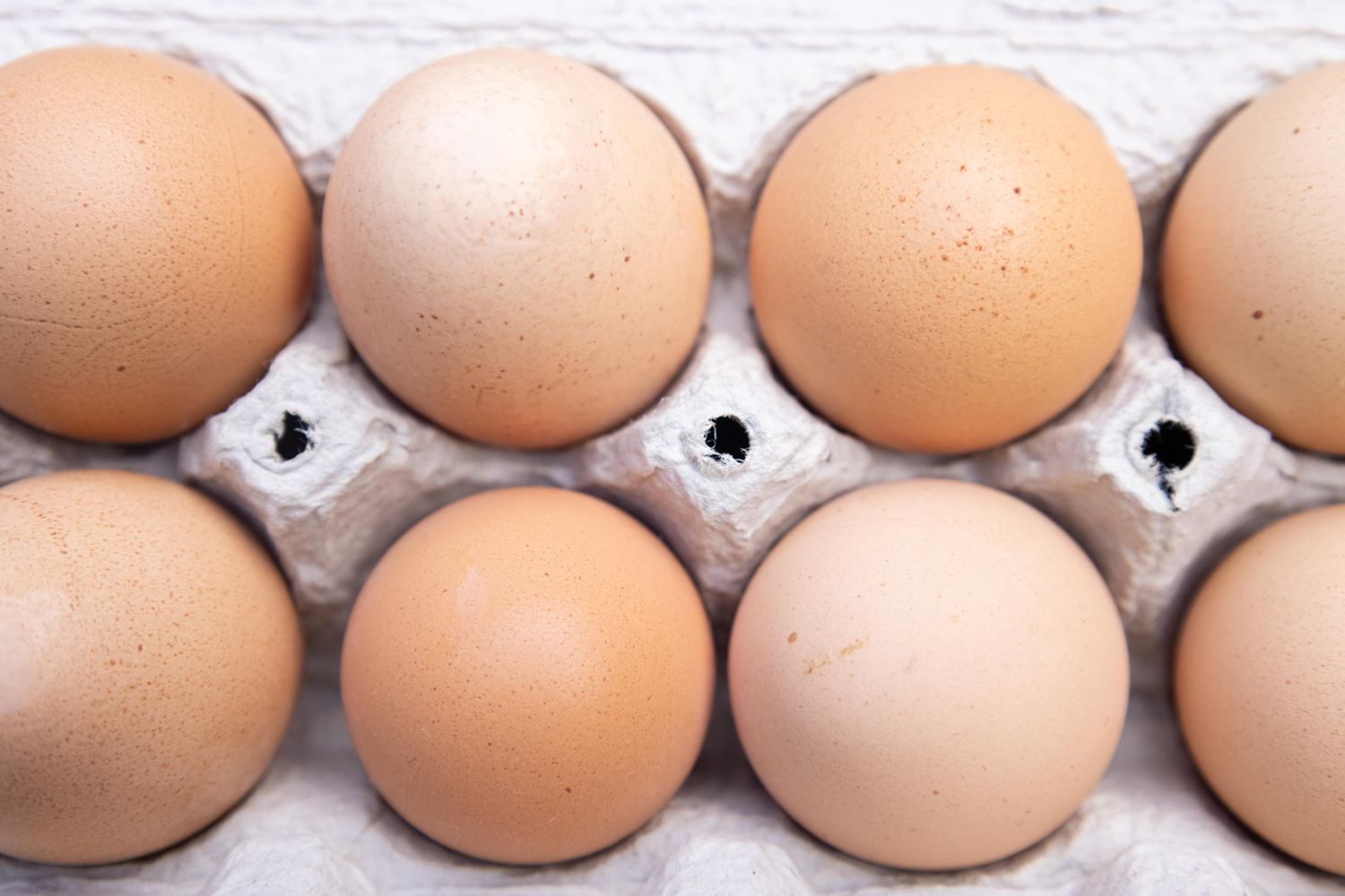 Learn how to Start an Egg Enterprise